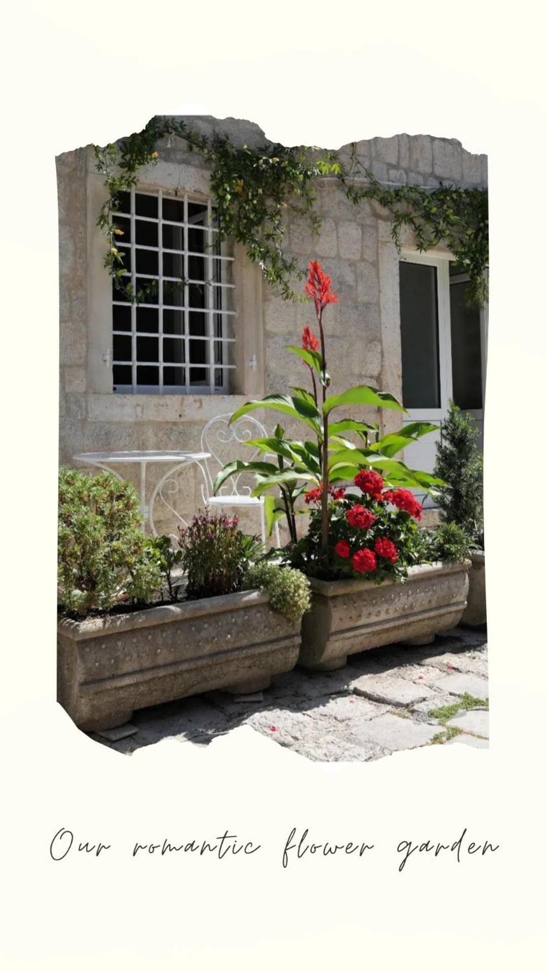 Apartments Visit Perast Exteriér fotografie